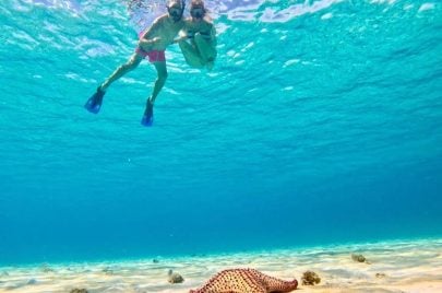 Underwater scene with two snorkelers exploring Roatan's coral reefs, starfish on sandy seabed, clear turquoise waters.